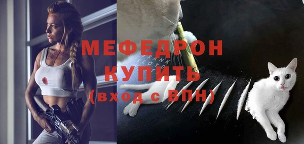индика Горно-Алтайск