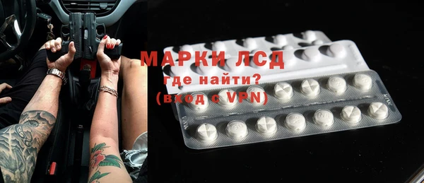 индика Горно-Алтайск
