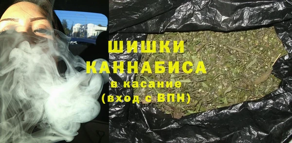 индика Горно-Алтайск