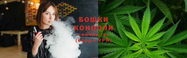 индика Горно-Алтайск