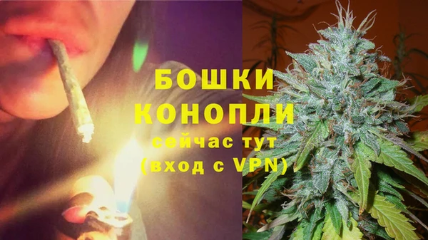 индика Горно-Алтайск