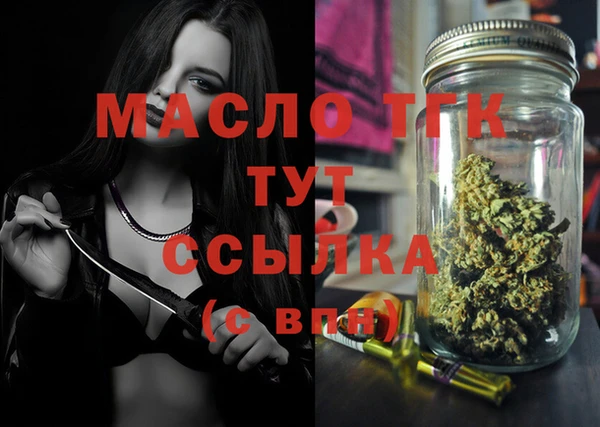 индика Горно-Алтайск
