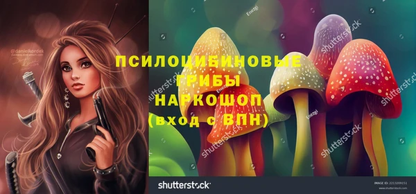 индика Горно-Алтайск